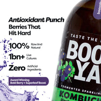 Blackcurrant & Moringa 330ml