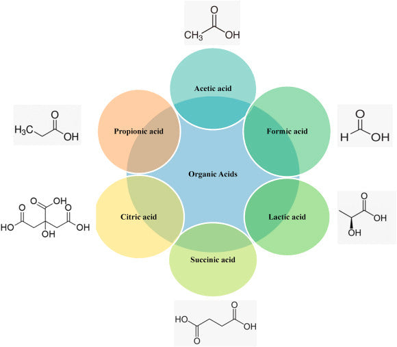 Resolutions, Dry Jan & Organic Acids