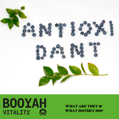 What are Antioxidants?