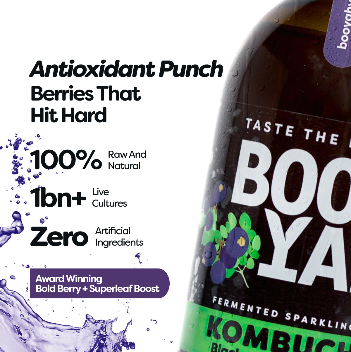 Blackcurrant & Moringa 330ml