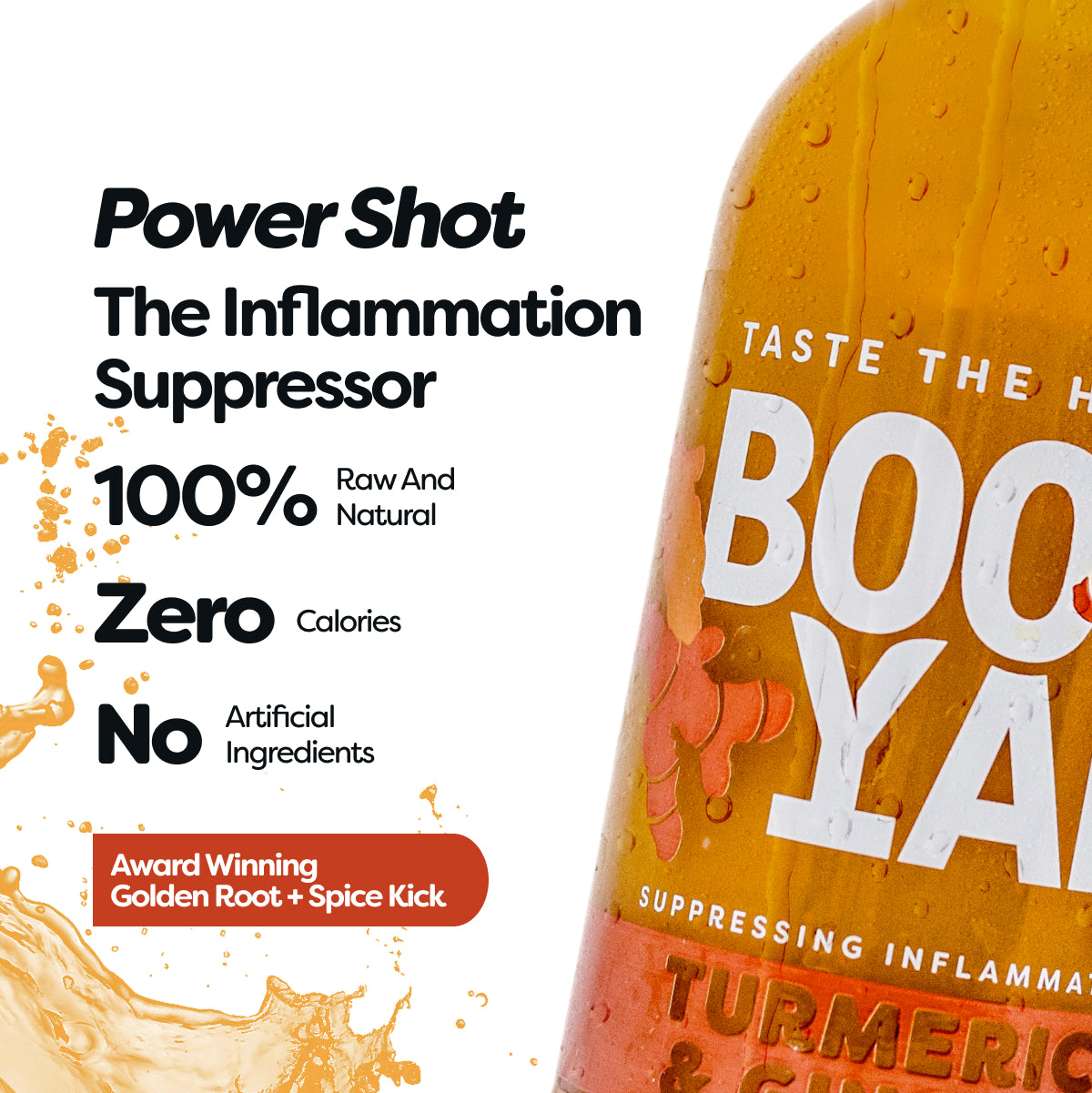 Turmeric & Ginger Power Shot 500ml