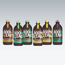Mixed Case Kombucha